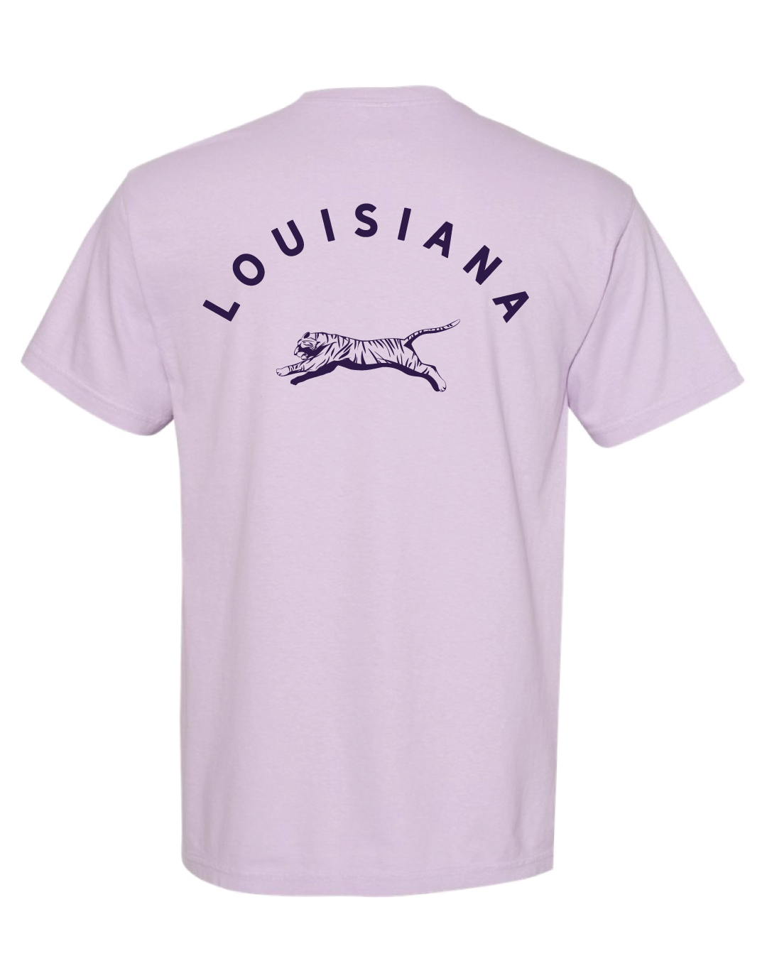 Baton Rouge Baseball T-Shirt, Baseball T-Shirt, Sweet Baton Rouge t-shirts, Louisiana Apparel.